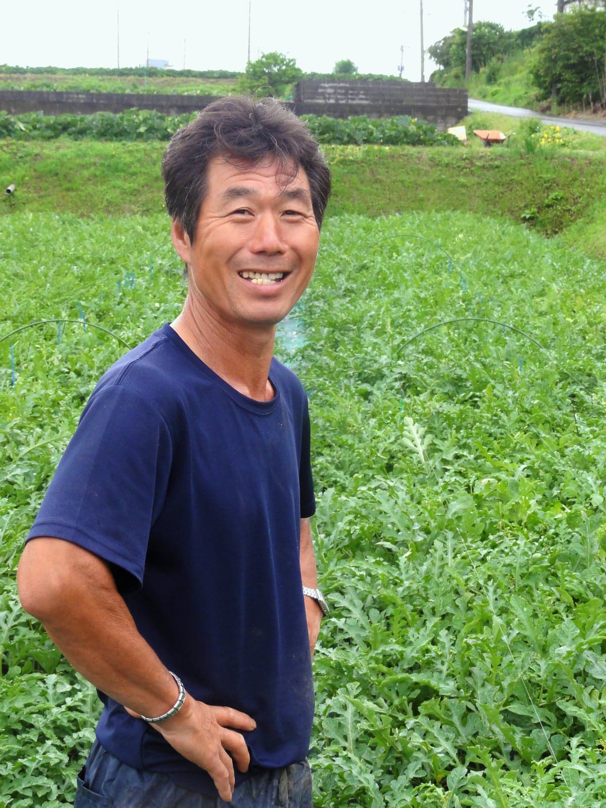 大井農園