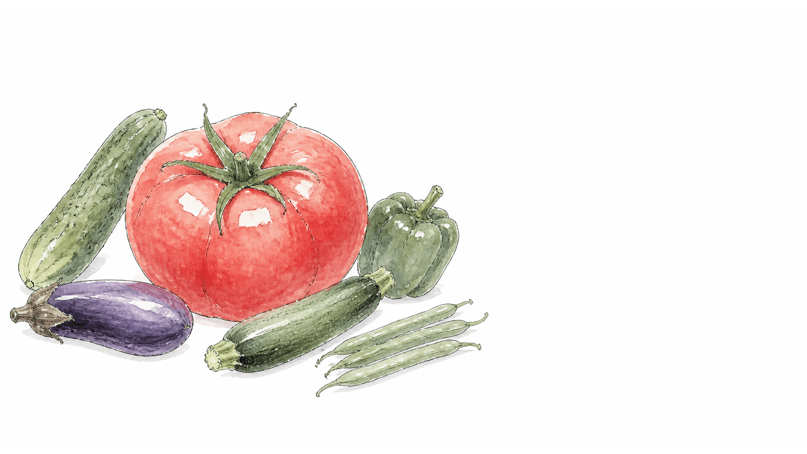トマトを中心とした季節の野菜の水彩イラスト